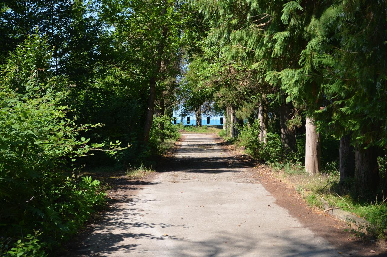 Solnechny Bereg Guest House Gudauta Zewnętrze zdjęcie