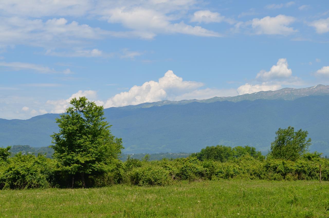 Solnechny Bereg Guest House Gudauta Zewnętrze zdjęcie