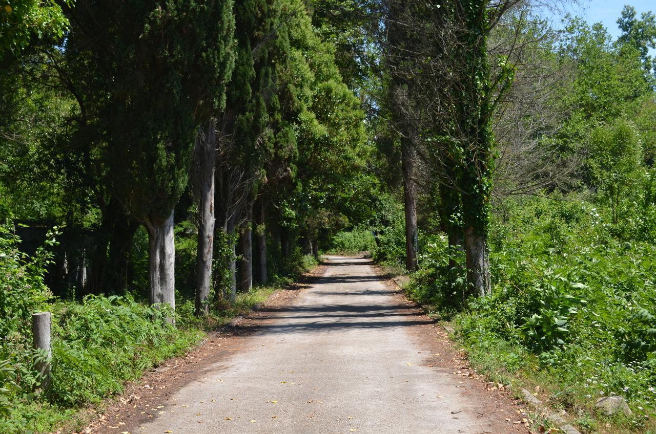 Solnechny Bereg Guest House Gudauta Zewnętrze zdjęcie