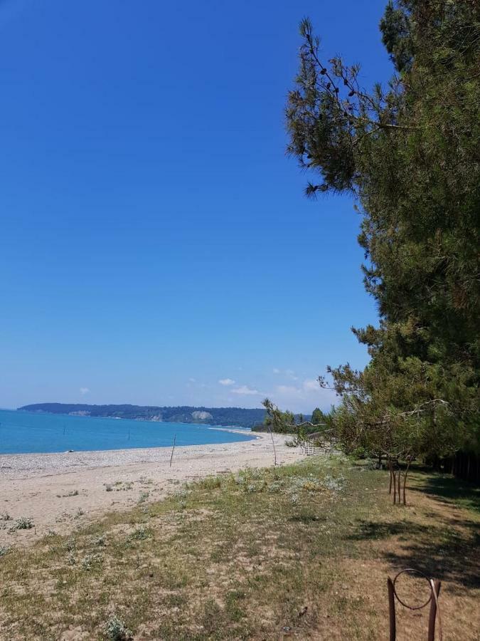 Solnechny Bereg Guest House Gudauta Zewnętrze zdjęcie