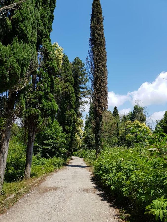 Solnechny Bereg Guest House Gudauta Zewnętrze zdjęcie