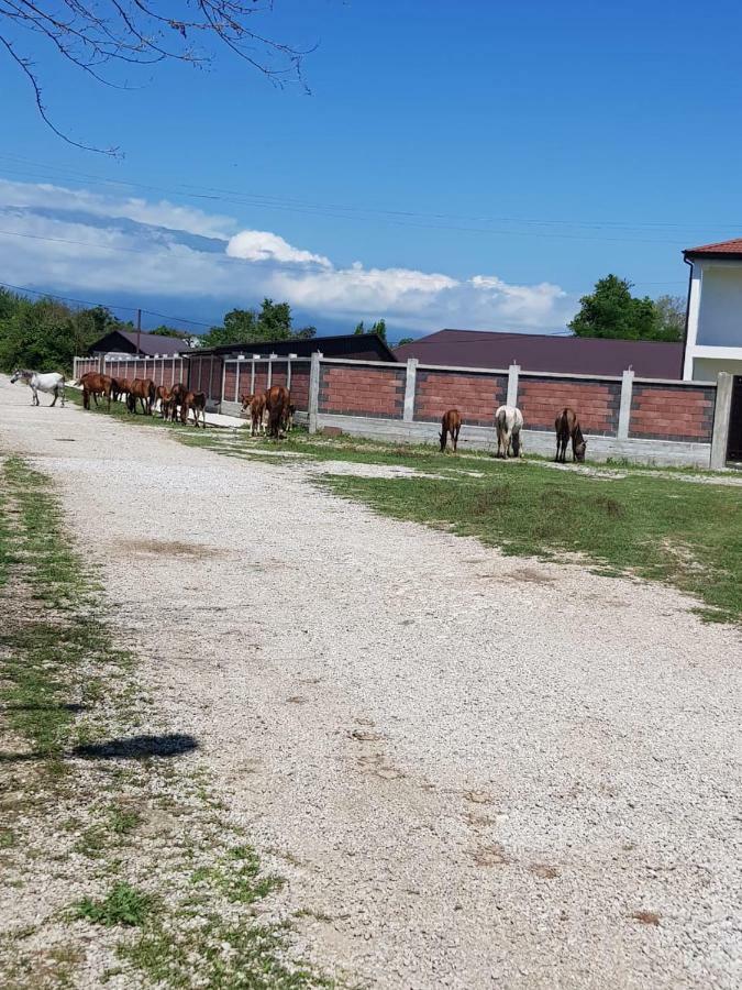 Solnechny Bereg Guest House Gudauta Zewnętrze zdjęcie