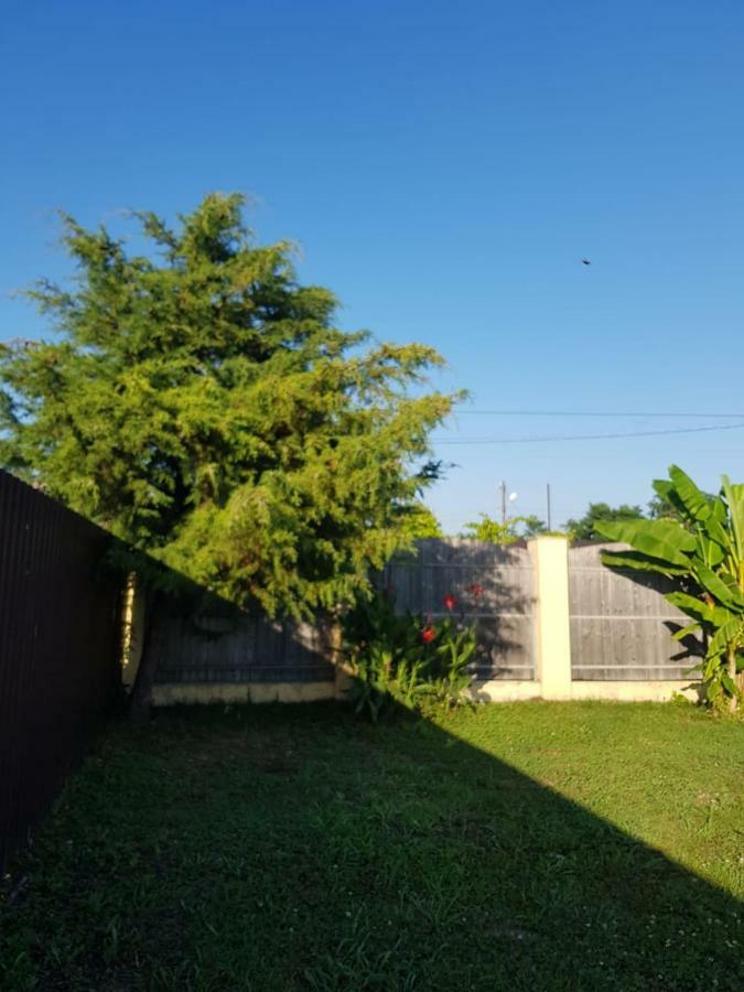 Solnechny Bereg Guest House Gudauta Zewnętrze zdjęcie